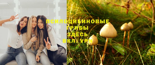 соль ск Гусь-Хрустальный