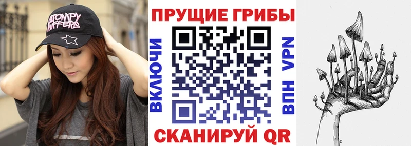 Галлюциногенные грибы Psilocybe  Кадников 